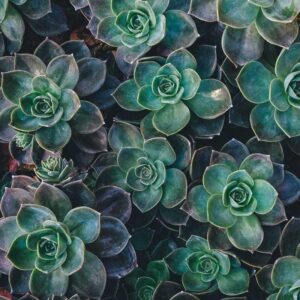 Sample — Tile B