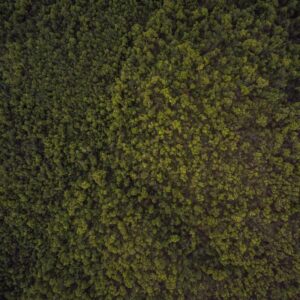 Sample — Kitchen Top D