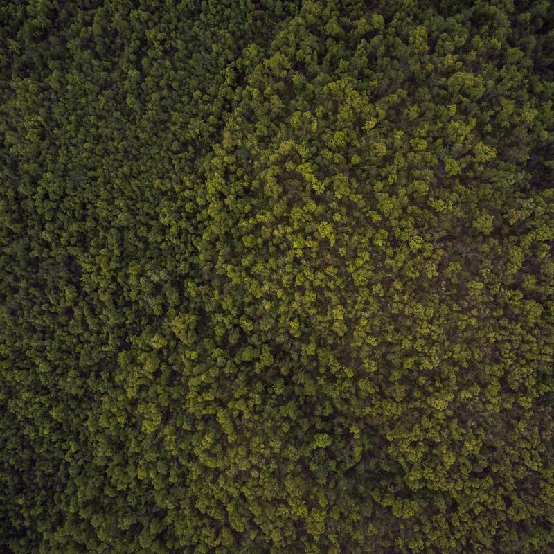 Sample — Kitchen Top D